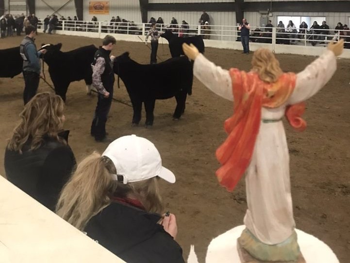 AGS Steer Show 2020